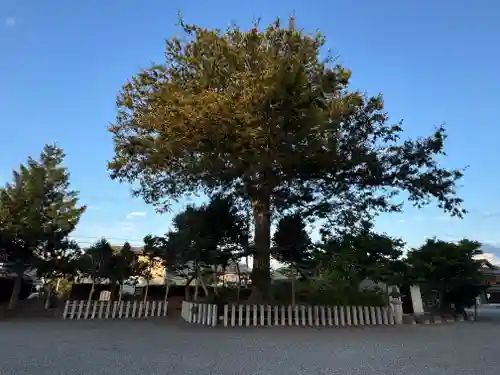 沙沙貴神社(滋賀県)