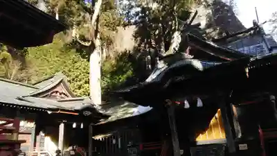 榛名神社の本殿・本堂