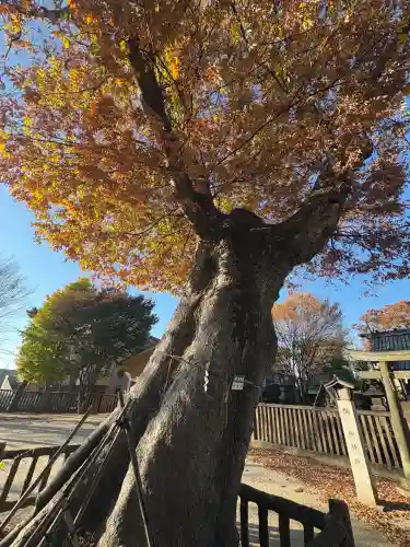 豊田神社(東京都)