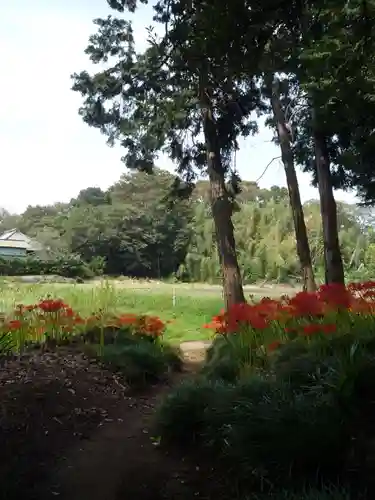 駒形神社の自然