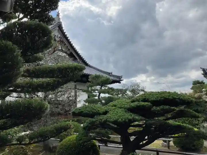 海宝寺の自然