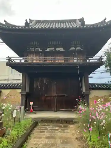 般若寺 ❁﻿コスモス寺❁(奈良県)
