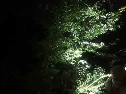 高台寺（高台寿聖禅寺・高臺寺）の自然