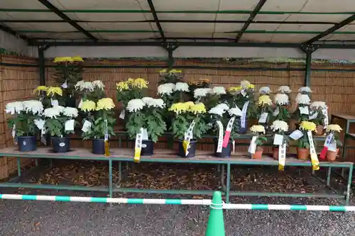 高麗神社のその他建物