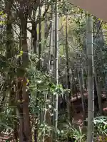 長坂大歳神社(兵庫県)