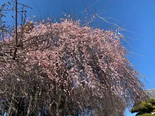 百品神社(群馬県)