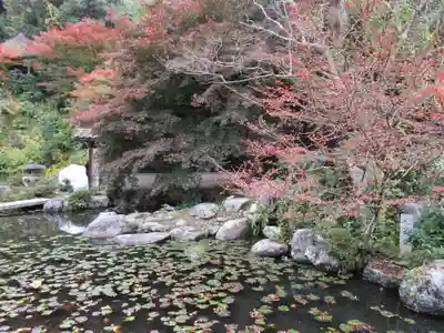 當麻寺中之坊(奈良県)