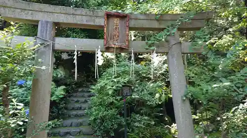 赤坂氷川神社の鳥居