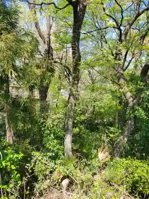 高山神社(群馬県)
