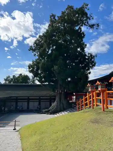 春日大社(奈良県)