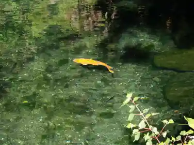 磯山弁財天(栃木県)