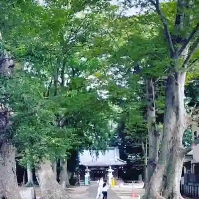 八坂神社のその他建物
