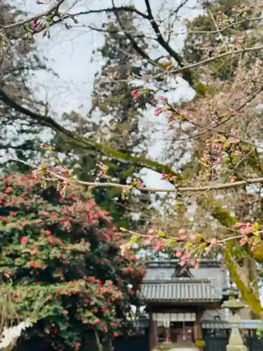 守りの神　藤基神社(新潟県)