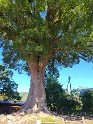 津江神社(福岡県)