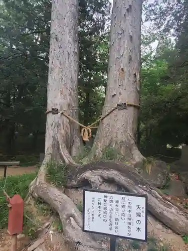 妻沼聖天山歓喜院の自然