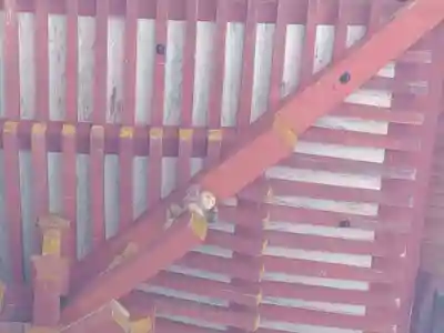 日吉大社(滋賀県)