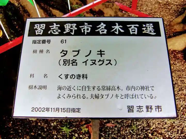大宮・大原神社の歴史
