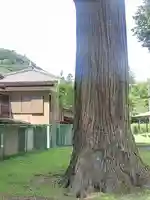 古鷹神社(埼玉県)