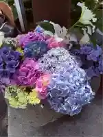 普門寺(切り絵御朱印発祥の寺)(愛知県)