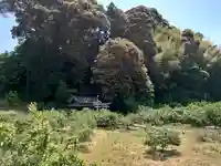 須賀神社の自然