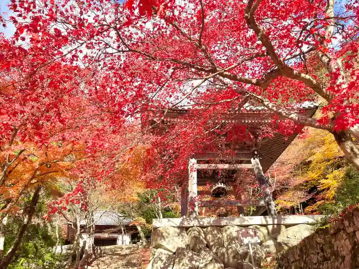 東光寺(滋賀県)