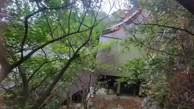 天一稲荷神社(愛媛県)