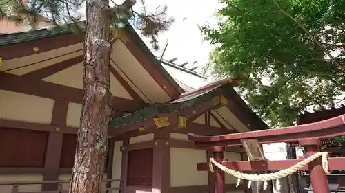 三吉神社の本殿