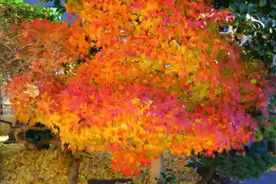 晴門田神社の庭園