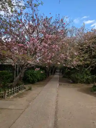 極楽寺（霊鷲山感應院極楽律寺）の景色