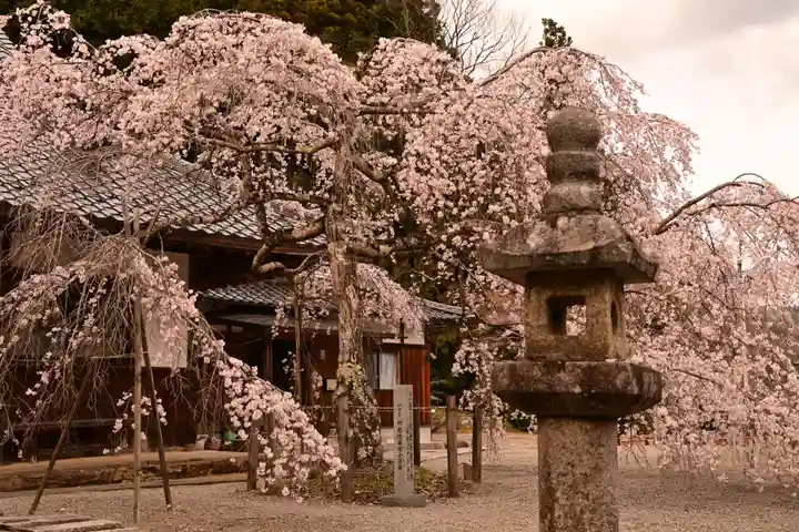 法蓮寺(愛媛県)