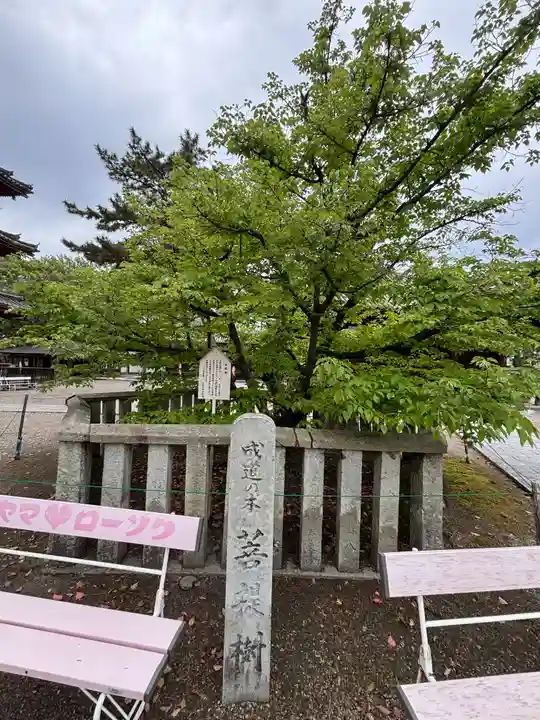 鶴林寺(兵庫県)