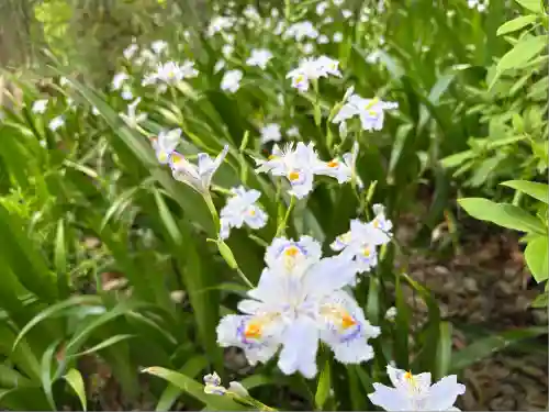 糀谷八幡宮(埼玉県)
