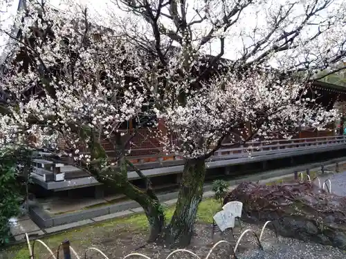 城南宮(京都府)