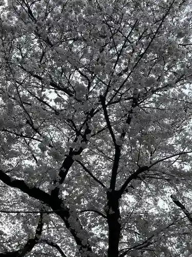 日蓮宗　浄運寺(東京都)