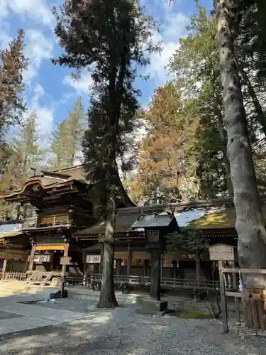 諏訪大社下社春宮の本殿・本堂