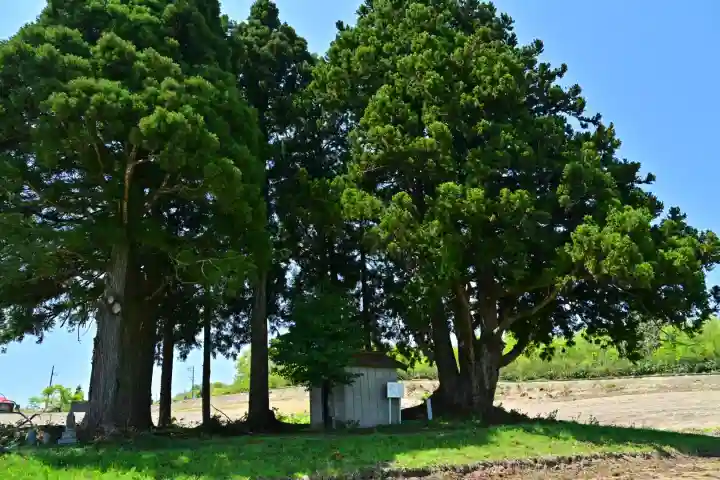 沢山神社(澤山神社)(新潟県)