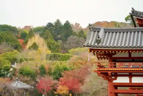 平等院(京都府)