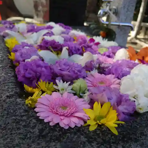 春日神社の手水舎