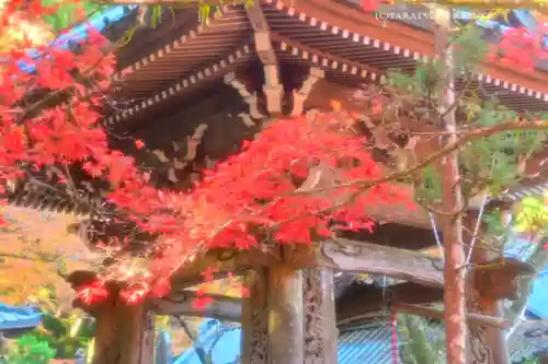 最乗寺（道了尊）(神奈川県)