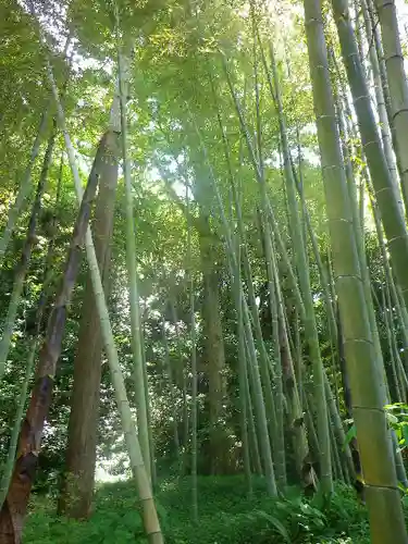 蛇苦止明神（蛇苦止堂）の自然