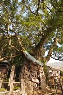 須賀神社(高知県)