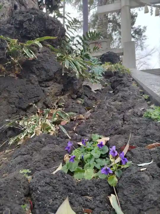 居木神社の自然