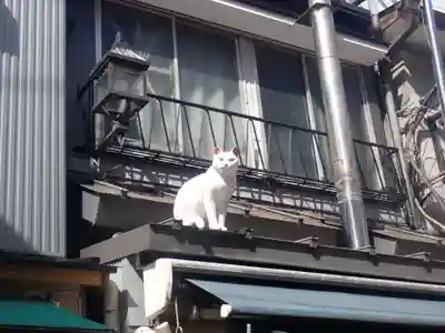 元三島神社(東京都)