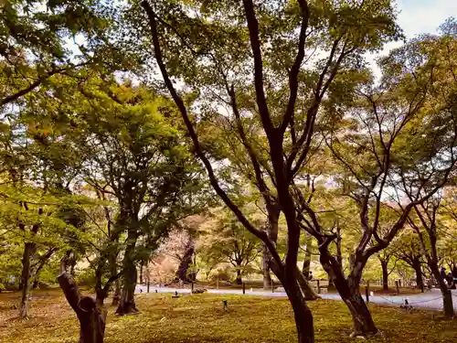 東福禅寺（東福寺）(京都府)
