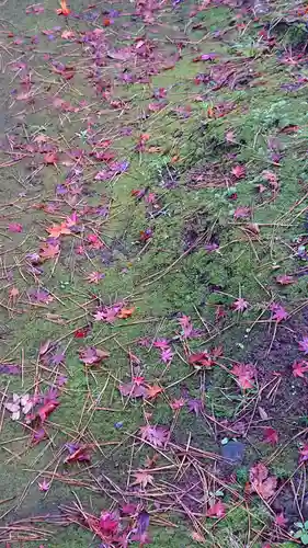 岩殿山安楽寺（吉見観音）の自然