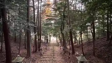 春日神社(滋賀県)