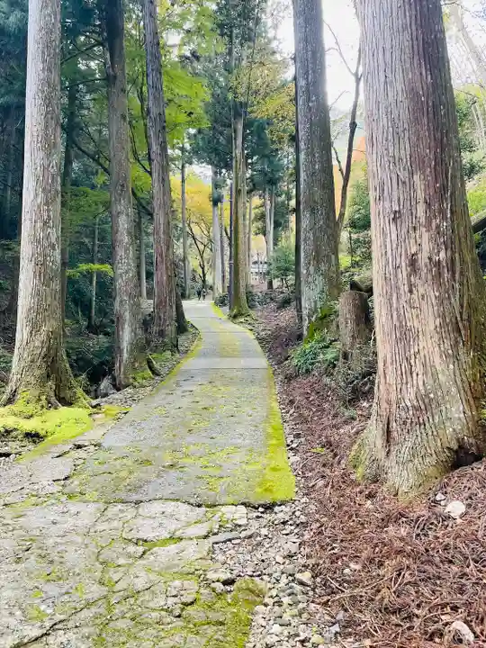 古知谷阿弥陀寺(京都府)