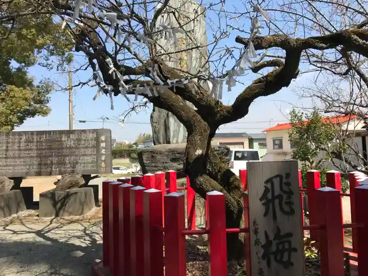 駛馬天満宮(福岡県)