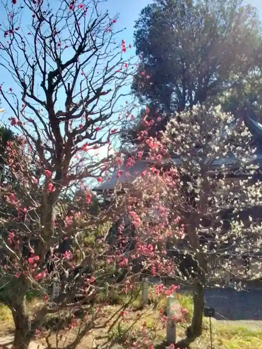 布多天神社(東京都)