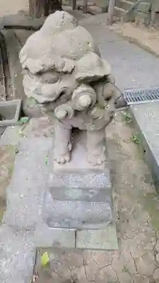 熊野神社(杉田・中原)(神奈川県)